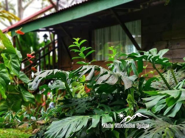 Vista Turrialba Lodge ภายนอก รูปภาพ