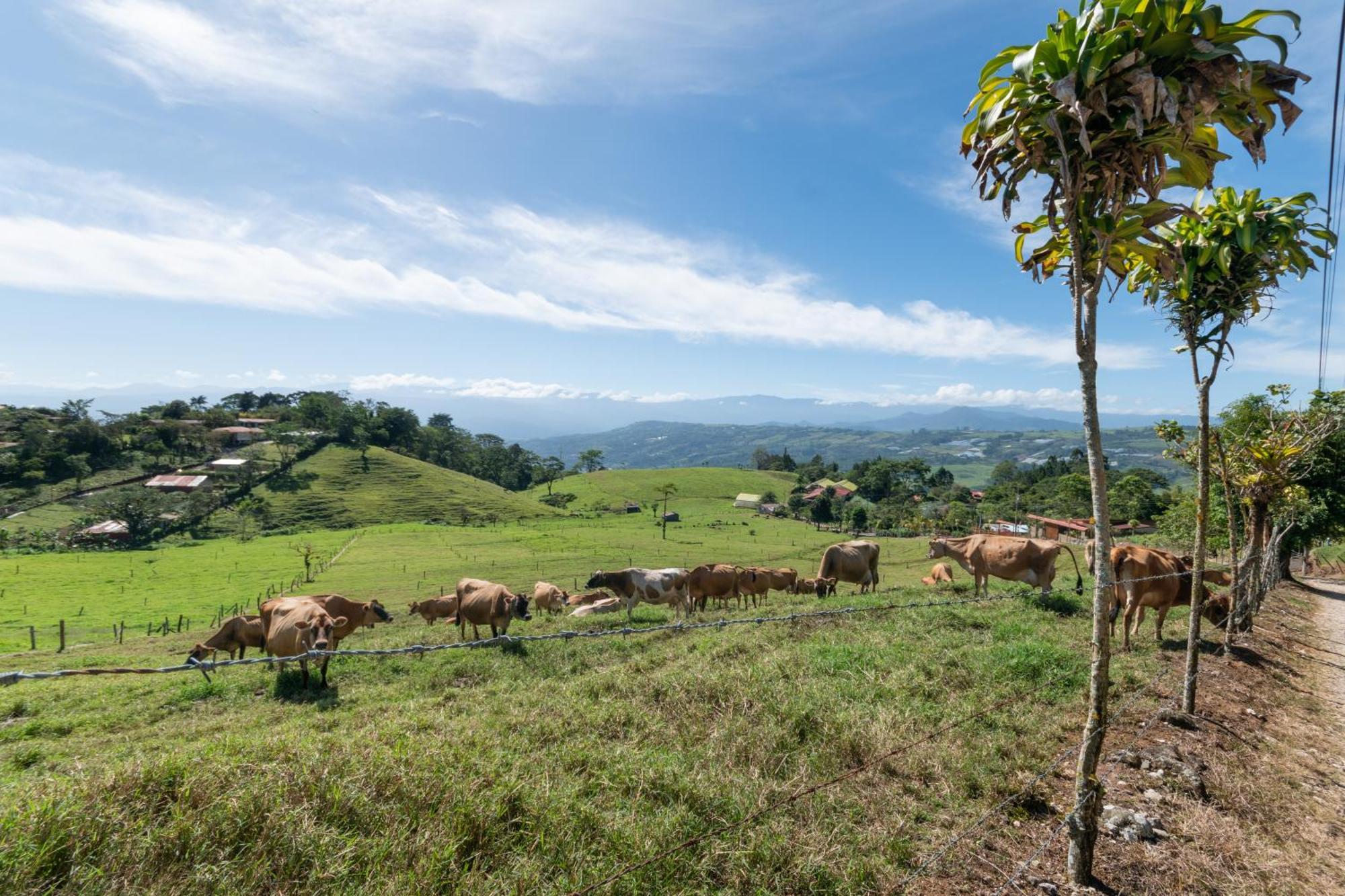 Vista Turrialba Lodge ภายนอก รูปภาพ