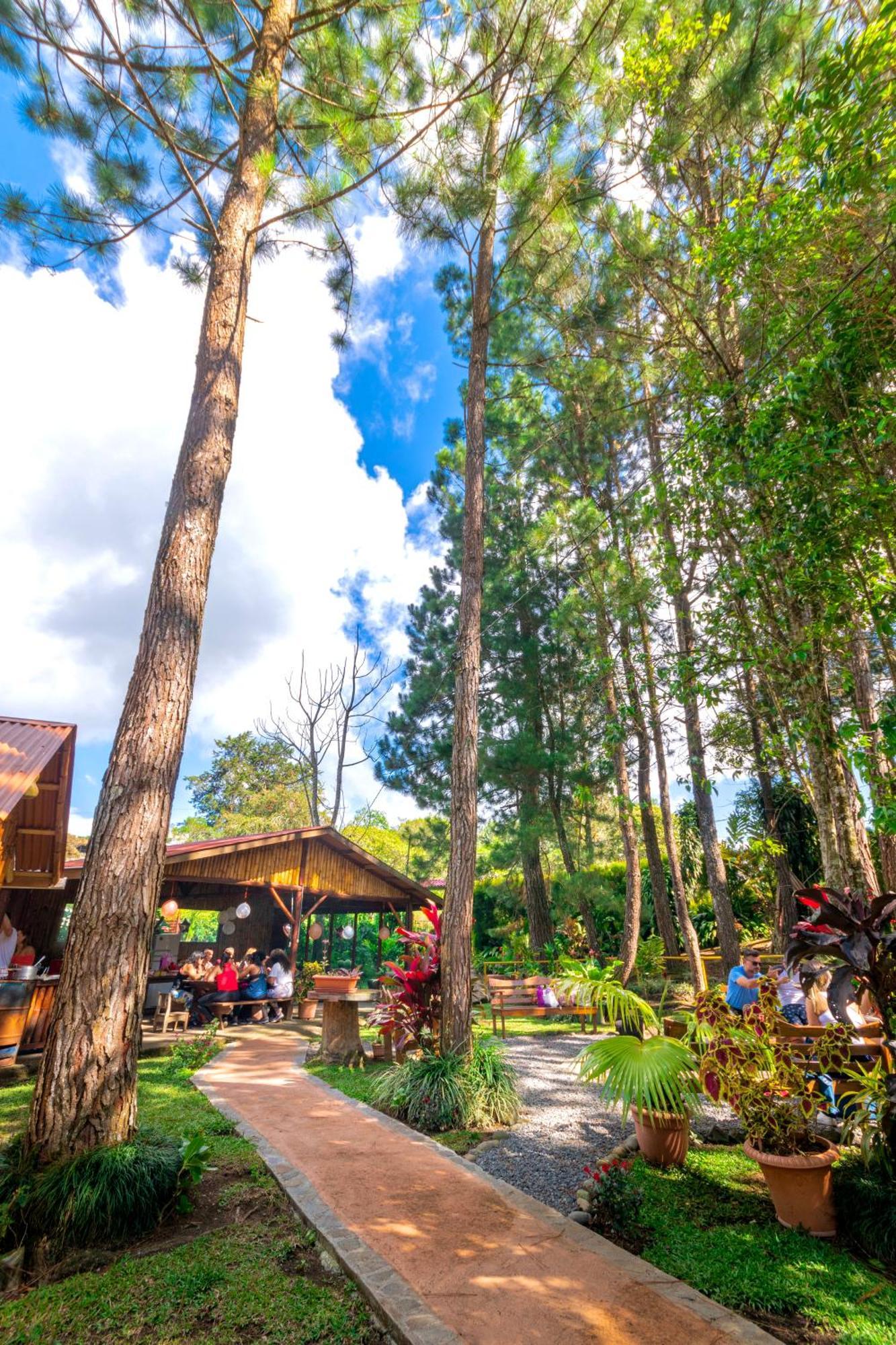 Vista Turrialba Lodge ภายนอก รูปภาพ