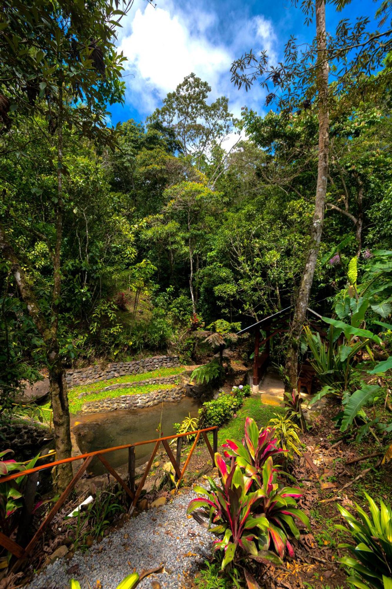 Vista Turrialba Lodge ภายนอก รูปภาพ