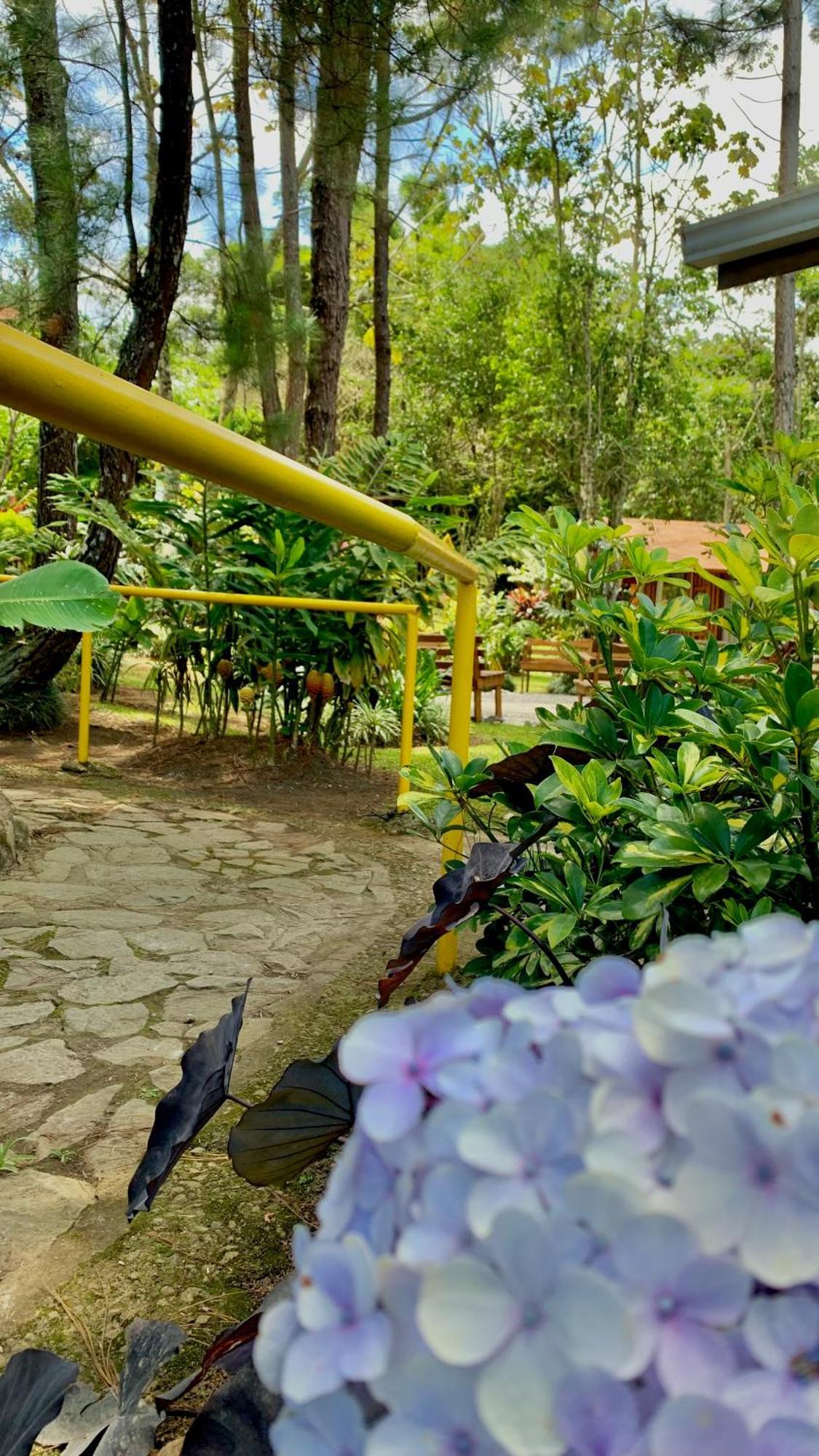 Vista Turrialba Lodge ภายนอก รูปภาพ